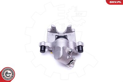 Brake Caliper 42SKV544