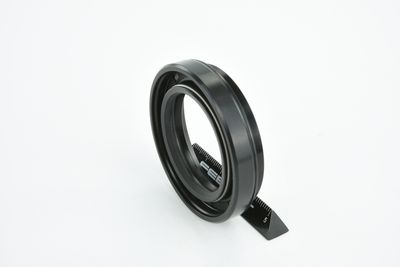 SIMERING DIFERENTIAL FEBEST 95HAY38580914C 35