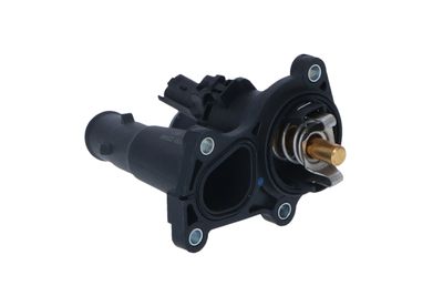 TERMOSTAT LICHID RACIRE NRF 725048 13