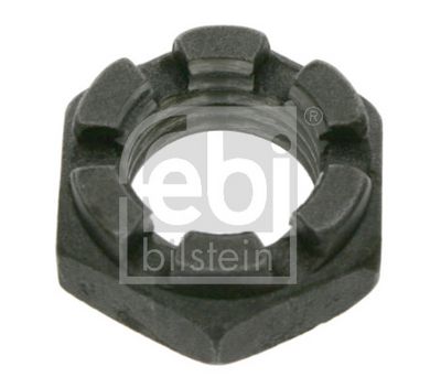 PIULITA CRENELATA FEBI BILSTEIN 02612