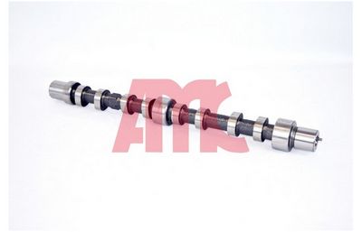 NOCKENWELLE AMC 647273 2