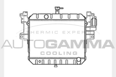 Радиатор, охлаждение двигателя AUTOGAMMA 104039 для DAIHATSU FEROZA