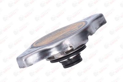 BUSON RADIATOR BIRTH 8069 6