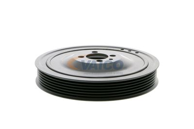 FULIE CUREA ARBORE COTIT VAICO V401481 33