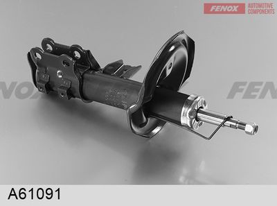 FENOX A61091 Амортизатори 