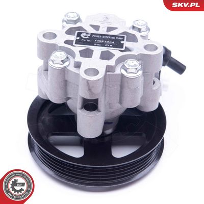 Hidraulinis siurblys, vairo sistema