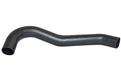 FURTUN EAR SUPRAALIMENTARE