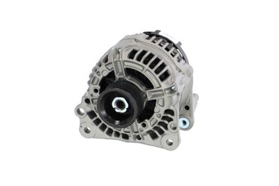 GENERATOR / ALTERNATOR REMANTE 011003000486R 61