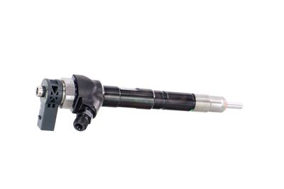 INJECTOR REMANTE 002003001752R 37
