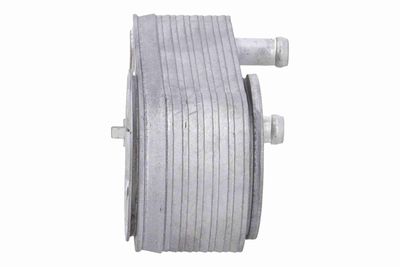 RADIATOR ULEI ULEI MOTOR VEMO V46600088 6
