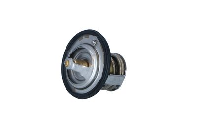TERMOSTAT LICHID RACIRE NRF 725012 13