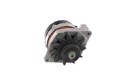 GENERATOR / ALTERNATOR REMANTE 011003000079R 59