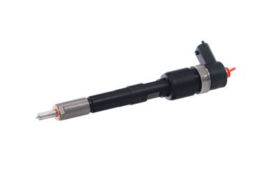 INJECTOR REMANTE 002003001717R 7