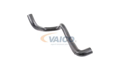KüHLERSCHLAUCH VAICO V251790 17