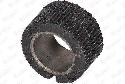 BUCSA ARBORE DE DIRECTIE BIRTH 4848 2