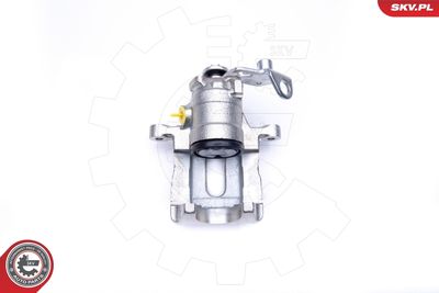 Brake Caliper 45SKV084