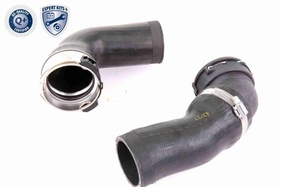 FURTUN EAR SUPRAALIMENTARE VAICO V201617 2