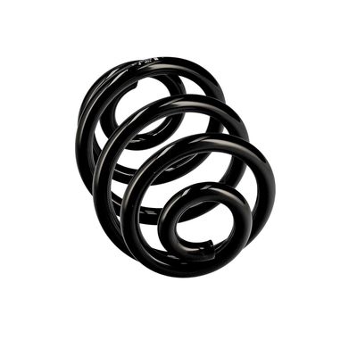 ARC SPIRAL EIBACH R10106 12