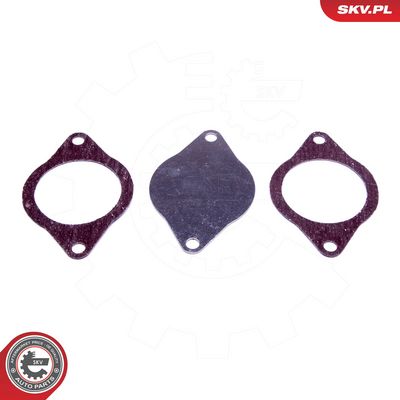 Remonto komplektas, AGR vožtuvas