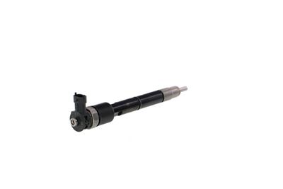 INJECTOR REMANTE 002003002307R 32