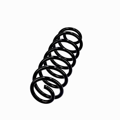 ARC SPIRAL EIBACH R10793 2
