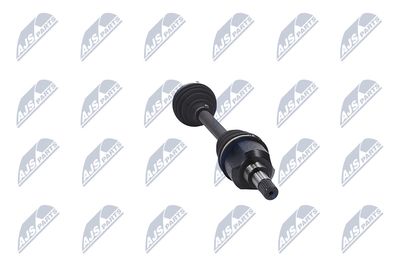 PLANETARA NTY NPWCT051 32