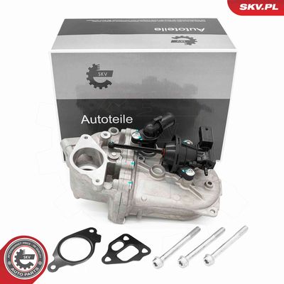 RADIATOR RECIRCULARE GAZE DE ESAPAMENT