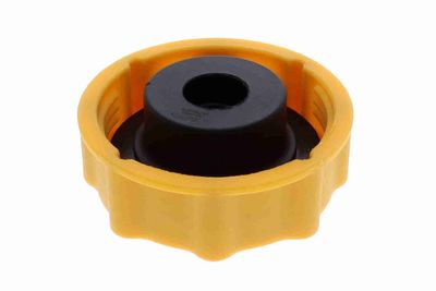 BUSON VAS EXPANSIUNE VAICO V250440 2