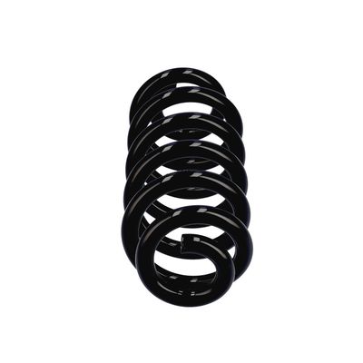 ARC SPIRAL EIBACH R22994 1