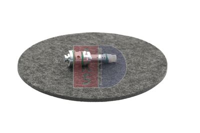 REGELVENTIL KOMPRESSOR AKS DASIS 859020N 6