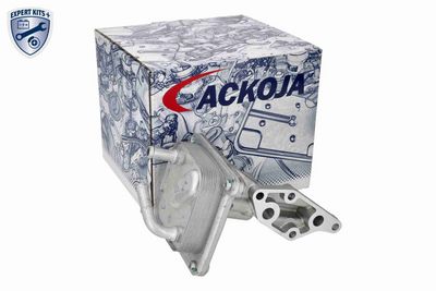 RADIATOR ULEI ULEI MOTOR ACKOJA A38600005 1