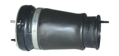 Arc pneumatic, directie MONROE ASP009