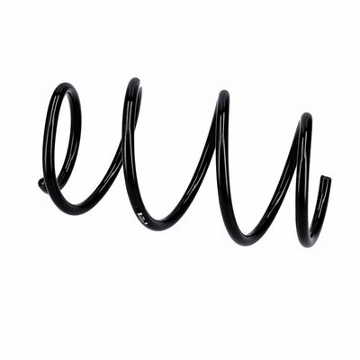 ARC SPIRAL EIBACH R10723 8