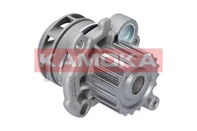 Water Pump, engine cooling T0034