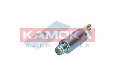 Fuel Pump 8410014