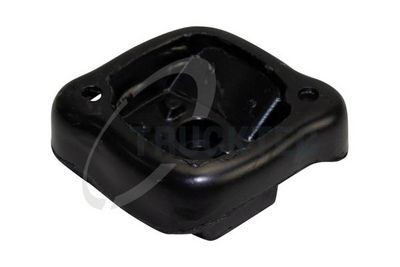 TRUCKTEC AUTOMOTIVE Variklio montavimas
