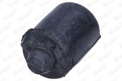 BURDUF CAUCIUC SUPORT MOTOR BIRTH 52660 2