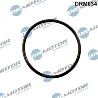 Těsnění, koleno sacího potrubí LIZARTE DRM034