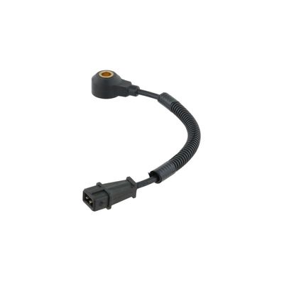 SENOR BATAI DELPHI AS10221 31