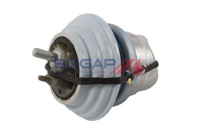 BOGAP Variklio montavimas