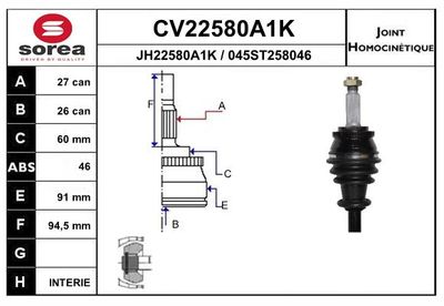 SET ARTICULATIE PLANETARA EAI CV22580A1K