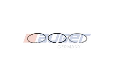 89 (STD) 2,5-2-231 Zuigerveren set past: MERCEDES C T-MODEL (S202), C (W202), E T-MODEL (S210), E (VF210), E (W210), G (W461), G (W463), S (W140), SPRINTER 2-T (B901, B902) 2.2D-3.4D