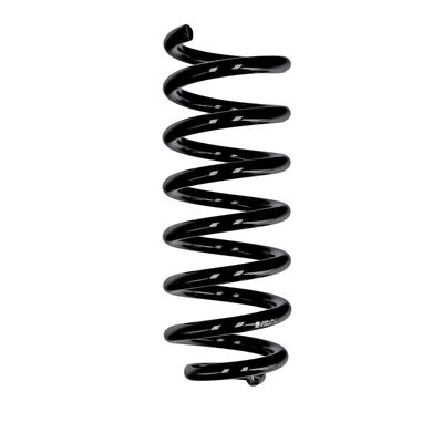 ARC SPIRAL EIBACH R10602 25