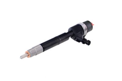 INJECTOR REMANTE 002003001100R 63