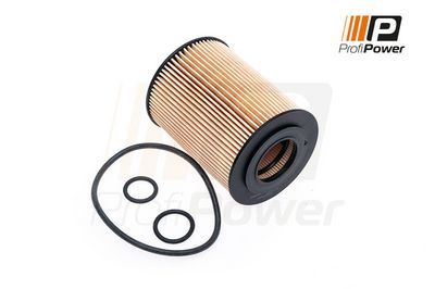 alyvos filtras 1F0032 ProfiPower