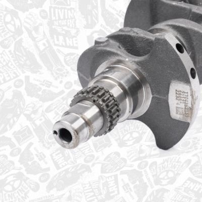 ARBORE COTIT ET ENGINETEAM HK0190 3