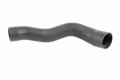 FURTUN EAR SUPRAALIMENTARE ACKOJA A379600 1