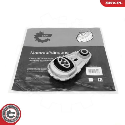 variklio montavimas 75SKV384 ESEN SKV