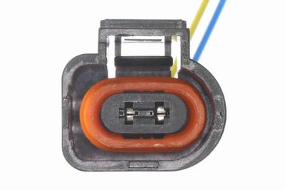 SCHALTER HECKKLAPPENENTRIEGELUNG VEMO V10852264 2