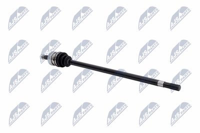 PLANETARA NTY NPWCH021 29